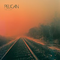 The Cliff - Pelican