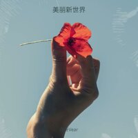 美丽新世界 - 薇哥Vear