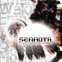 Silence of Mind - Senmuth