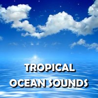 Authentic Bayside Ocean Waves - Ocean Sounds