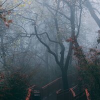 Gotas De Ti - Sonidos De La Naturaleza & Relajante Academia de Música Zen & Musica Meditaction