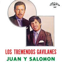 Un Dia Con Otro - Los Tremendos Gavilanes Juan Y Salomon