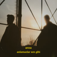 Anlamazlar Sen Gibi - ARIZA