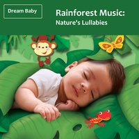 Are You Sleeping - Dream Baby
