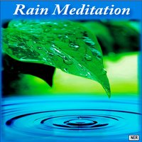 Amazon Rainforest - Rain Meditation
