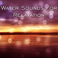 Seafront - Life Sounds Nature