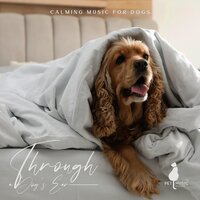 Dog Music - Pet Music Academy