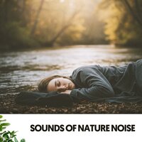 serene ocean - Cat Music Therapy & Rain Sounds ACE & Canciones De Cuna Para Dormir Bebes