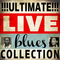 Your Love for Me Is True - John Lee "Sonny Boy" Williamson