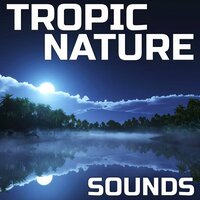 Tropic Nature Sounds - Tropic Nature Sounds & The White Noise & Relaxing Atmosphere & Atmospheres Soundscapes