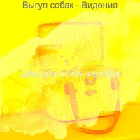 Моменты (Милые Собаки) - Джаз для собак желобок