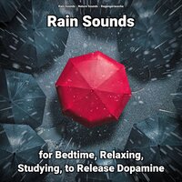 Rain Sounds for Relaxing and Studying Pt. 18 - Nature Sounds & Rain Sounds & Regengeräusche