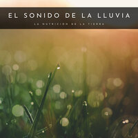 Ruido De Lluvia - Lluvia para un sueño profundo & Tormentas Naturales & Musica para Dormir Radio