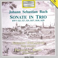 Sonata in Do maggiore, BWV 1037 : Largo - Guiliano Furlanetto & Francesco Bravo & Johann Sebastian Bach