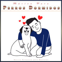 La mejor música para perros - Música Para Perros & Música Pura Para Perros & Ansiedad De Los Perros