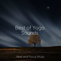 Elsewhere at Midnight - Meditative Music Guru & Buddhist Meditation Music Set & Meditation Awareness