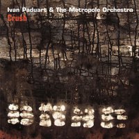 Shivers Down My Back - Ivan Paduart & The Metropole Orchestra