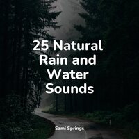 Rain While Driving - Sampling XL & Shakuhachi Sakano & Rain Sounds & Nature Sounds