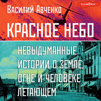 Василий Авченко. «Красное небо. Невыдуманные истории о земле, огне и человеке летающем». Часть 33 - Игорь Князев