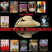No se vivir(el huache de michoacan) - Románticos De Tierra Caliente