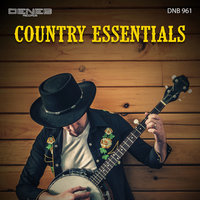 Wrangler's Lullaby - Paul Gelsomine