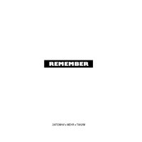 Remember - Panda