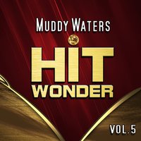 Come to Me Baby - Muddy Waters