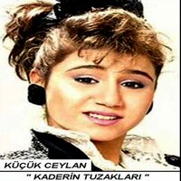 Ana Kucağı - Ceylan