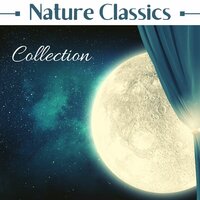 Relax Music and Nature Sound - Nature Caldwell