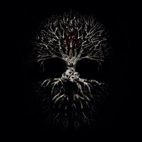 Первый - [AMATORY]
