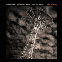 Plasma Wave - Bendian / Gauthier / Liebig / Stinson
