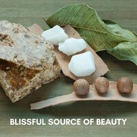 Wellness Spa - Wellness Spa Oasis