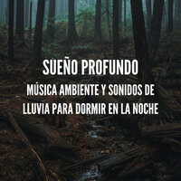 Uno con la naturaleza - Sonidos De Truenos y Lluvia & Sonido de lluvia & Naturaleza Sonidos