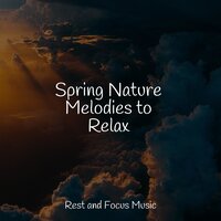 Understanding - Tinnitus & Spa Zen & Avslappning Sound