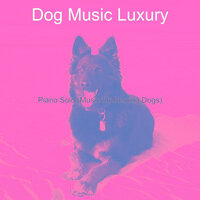 Distinguished Ambience for Reducing Dog Stress - Dog Music Luxury