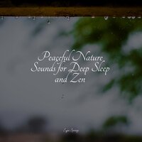 High Ocean Waves - Nature Ambience & Binaural Beats & Calming Sounds