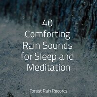 Small Waves Crashing - Sonido de lluvia & Natural Nature Makers & Sleep Meditation Dream Catcher