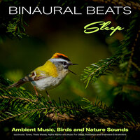 Sleeping Music for Reading and Relaxation - Binaural Beats Sleep & Binaural Beats & ASMR