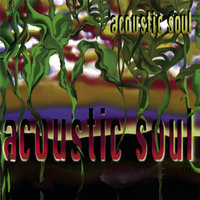 I Believe I Can Fly - Monica Guech & Acoustic Soul