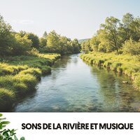 Feu de joie céleste - Solfeggio Frequencies 528Hz & Brain Timbre & Bébé Sommeil ASMR