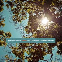 Gravity - Larry Grenadier & Jonas Burgwinkel & Sebastian Sternal