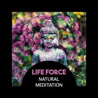 Buddha Bliss - Spiritual Music Collection