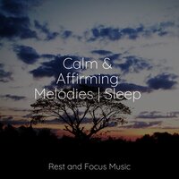 Peaceful Sleeps - Baby Sleep Lullaby Academy & Binaural Beats Brain Waves Isochronic Tones Brainwave Entrainment & Meditation Music Club