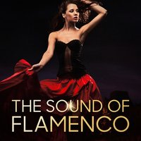 Amor de Mis Amores - Musica Romantica