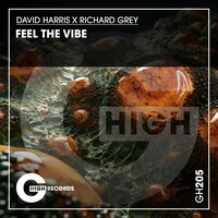 Feel the Vibe - David Harris & Richard Grey