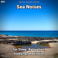 Sea Noises Part 71 - Coastal Sounds & Nature Sounds & Ocean Sounds