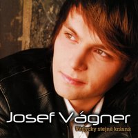 The King - Josef Vágner