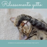 Energia per la  mente - Musica Rilassante Relax