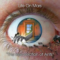 For a Reason - Life on Mars