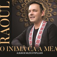 Ce Pacat Ca Trece Viata - Raoul